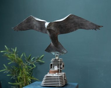 Bronze Kestrel