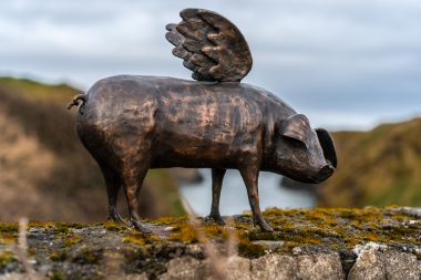 And Pigs Might Fly
