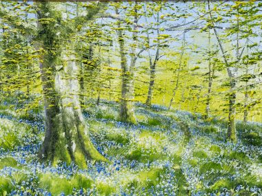 Beech Trees, Wild Garlic and Bluebells 2025